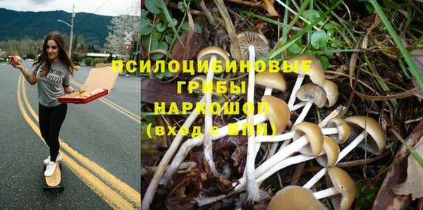 герыч Осташков