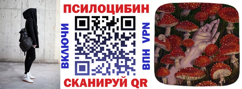 Псилоцибиновые грибы Psilocybe  Волгоград 